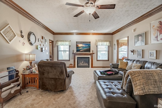 living area featuring a textured ceiling, a healthy amount of sunlight, carpet floors, and ornamental molding