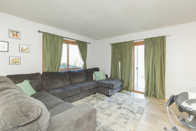 living room with a textured ceiling and wood finished floors