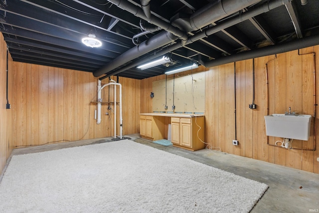 basement with wooden walls and a sink