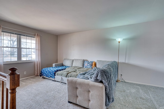 living area with baseboards and carpet floors