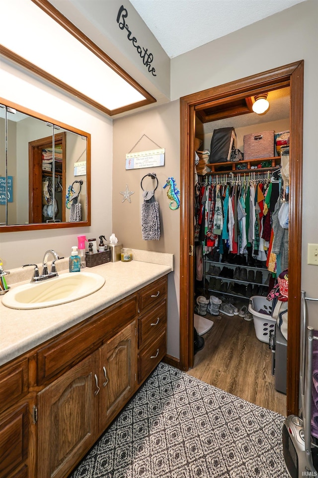 bathroom with a walk in closet and vanity