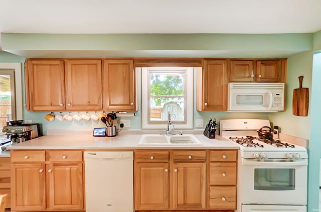 kitchen with white appliances, light countertops, and a sink