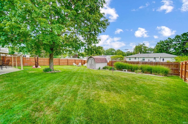 view of yard featuring a storage unit, a patio, an outdoor structure, and a fenced backyard