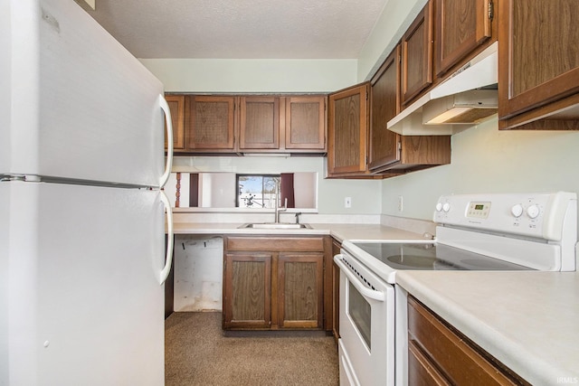 kitchen featuring white appliances, light countertops, under cabinet range hood, and a sink