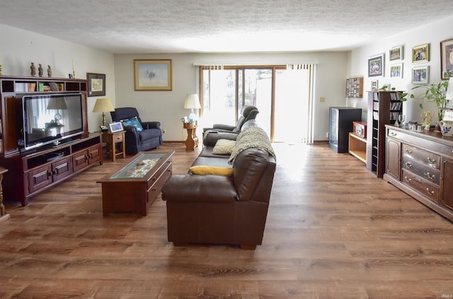 living room featuring wood finished floors and a textured ceiling