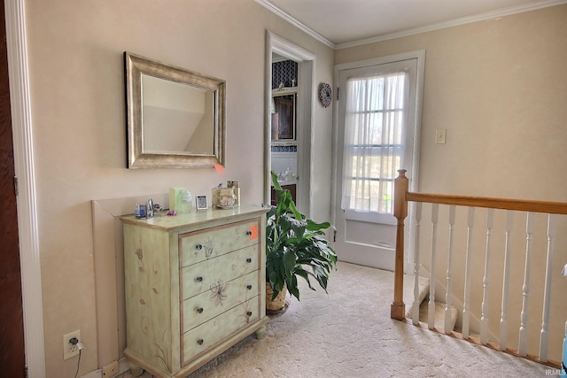 interior space with light colored carpet and ornamental molding