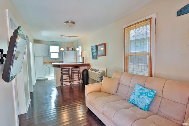 living room with dark wood-style floors