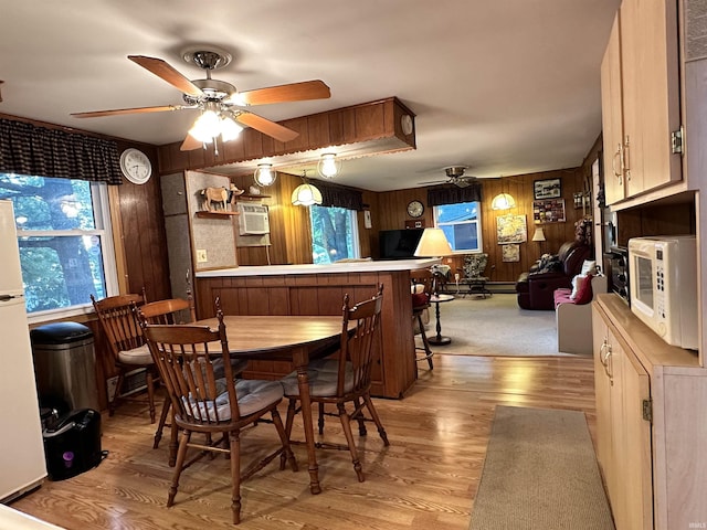 dining space with a wealth of natural light, a ceiling fan, and light wood finished floors