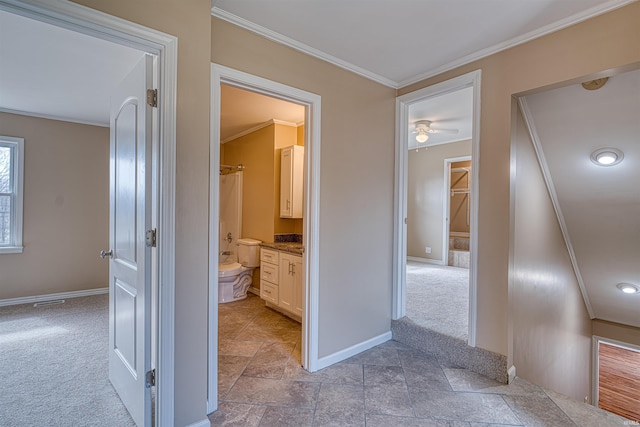 corridor featuring carpet floors, baseboards, and ornamental molding