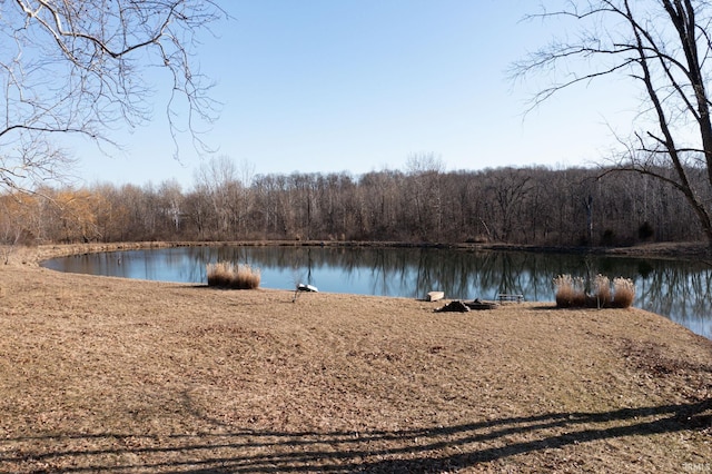 property view of water with a forest view