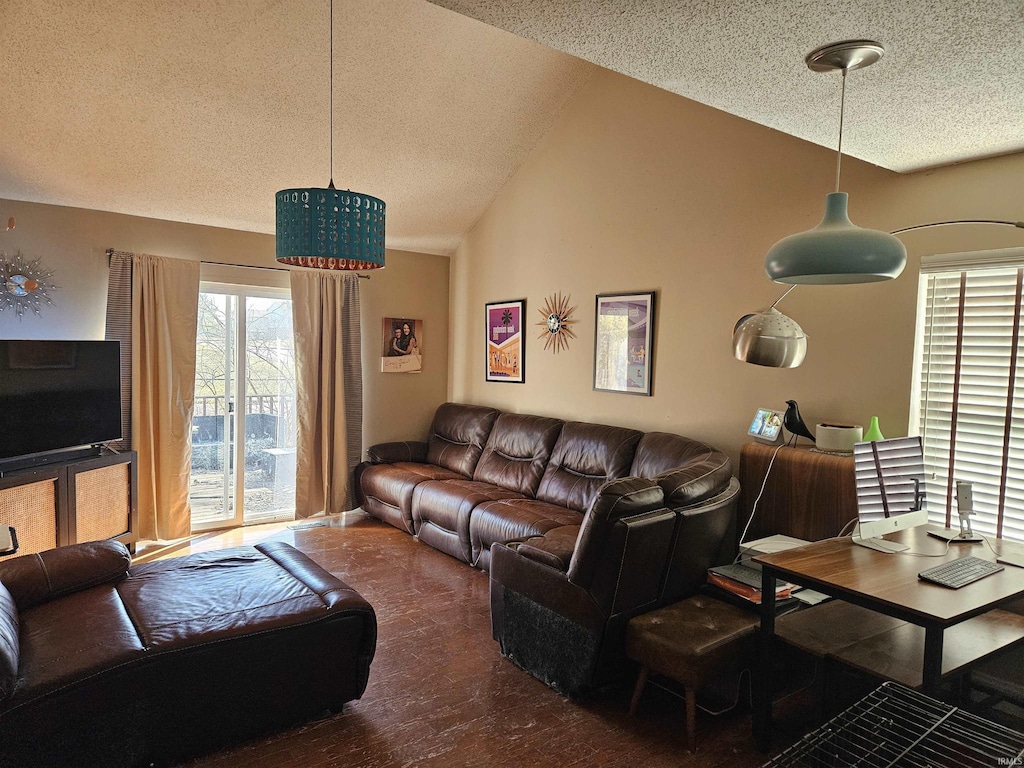 living area with a textured ceiling, lofted ceiling, and wood finished floors