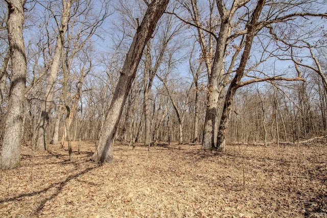 view of local wilderness with a wooded view