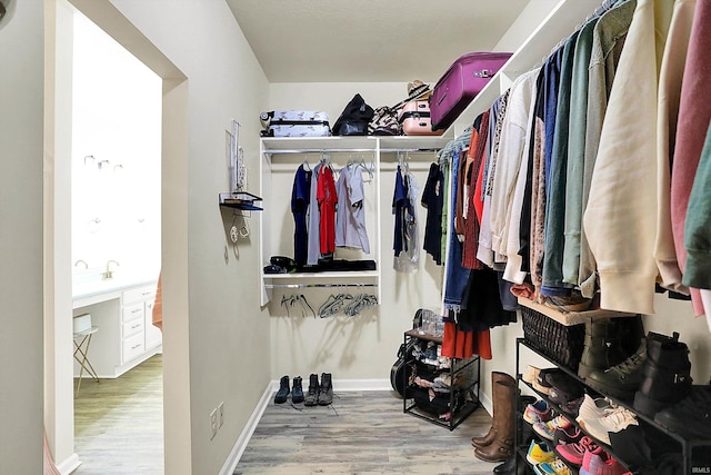 spacious closet featuring wood finished floors and a sink