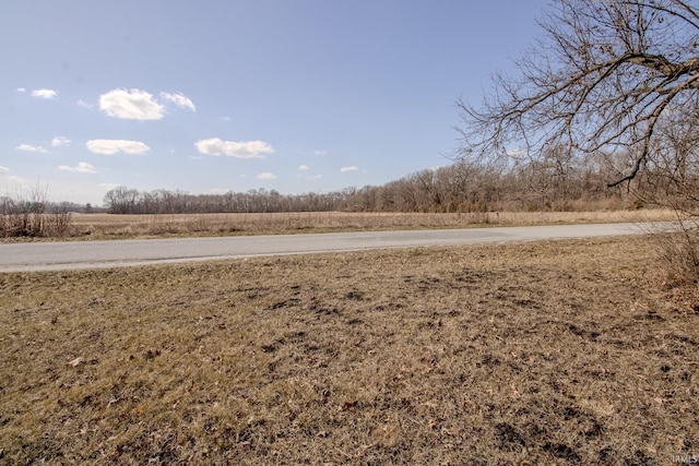 view of yard featuring a rural view