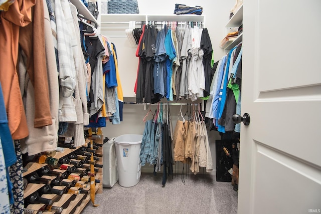 walk in closet with carpet