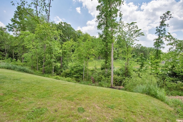 view of yard featuring a forest view