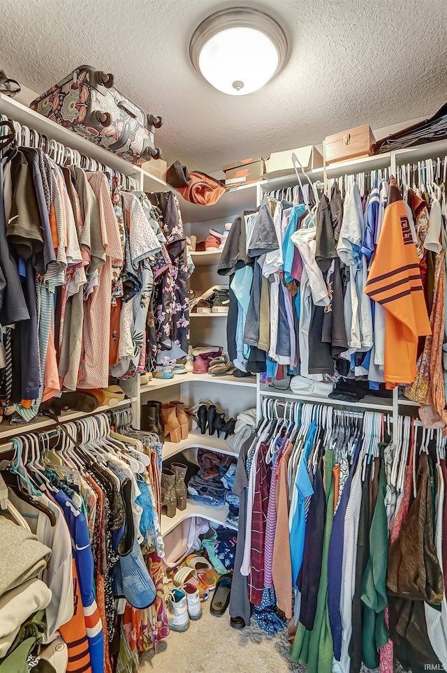 spacious closet featuring carpet