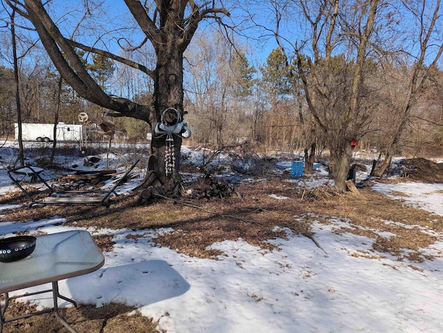 view of snowy yard