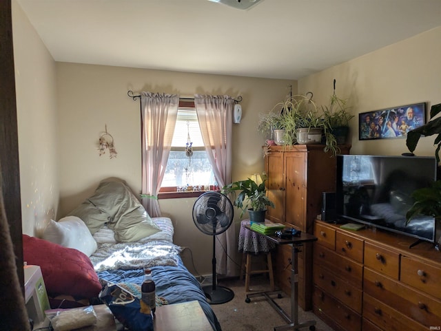 bedroom with carpet floors