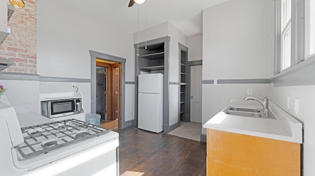 kitchen with white appliances, dark wood finished floors, ceiling fan, a sink, and light countertops