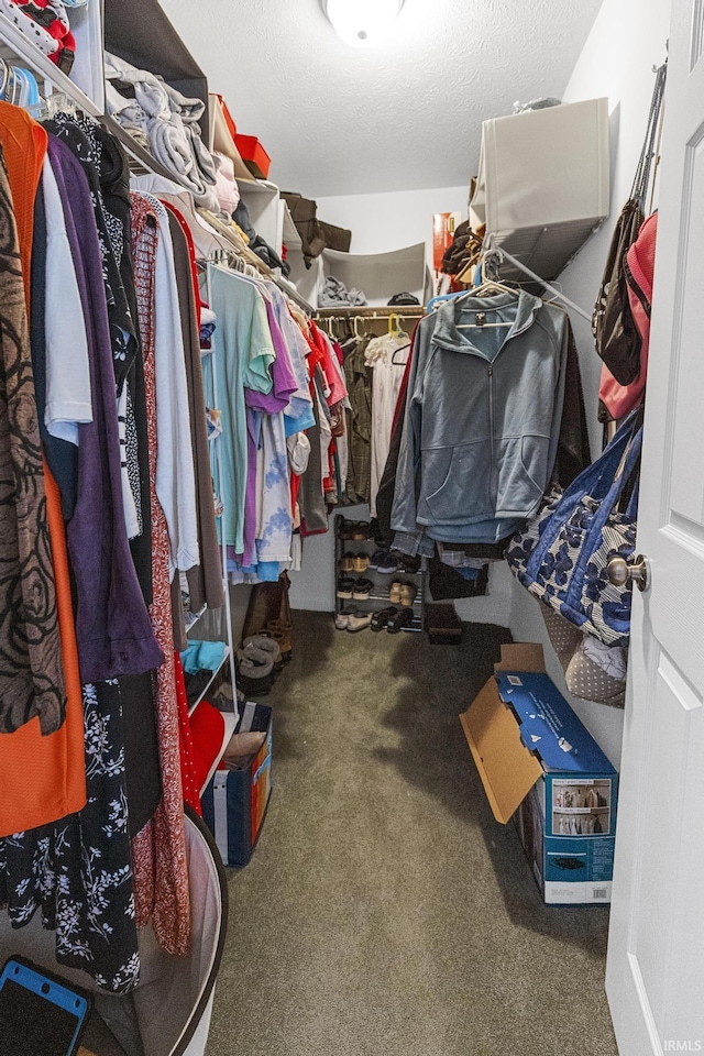 walk in closet with carpet floors