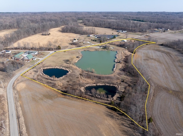 bird's eye view with a water view and a rural view