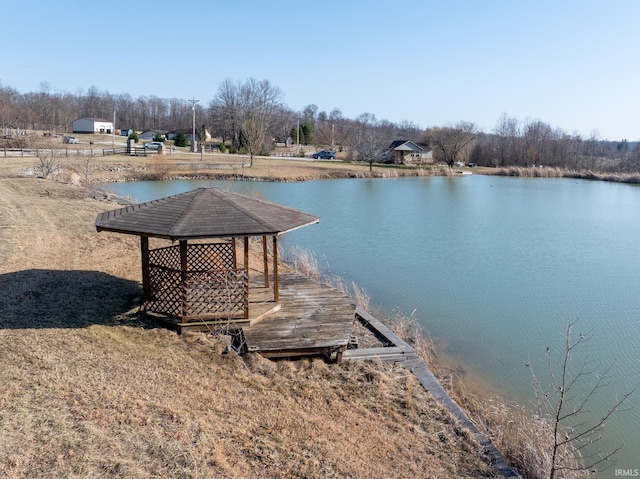 dock area with a water view