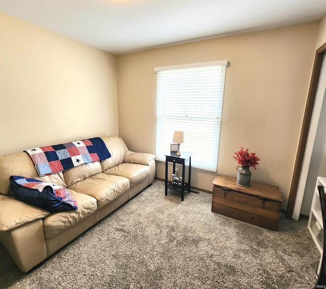 living area with carpet floors