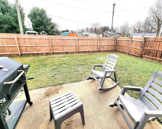 view of yard with a patio and a fenced backyard