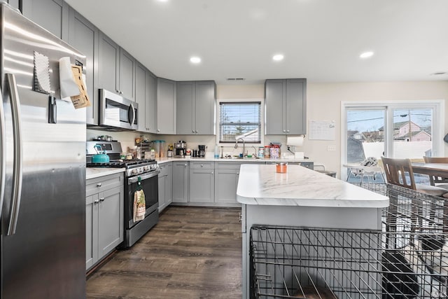 kitchen with a sink, appliances with stainless steel finishes, a wealth of natural light, and gray cabinetry