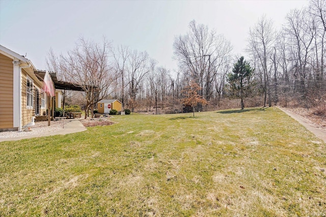 view of yard with a patio and an outbuilding