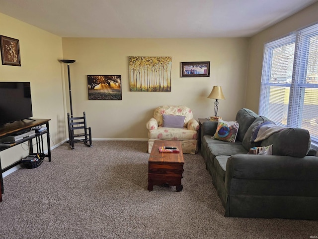 living area with baseboards and carpet floors