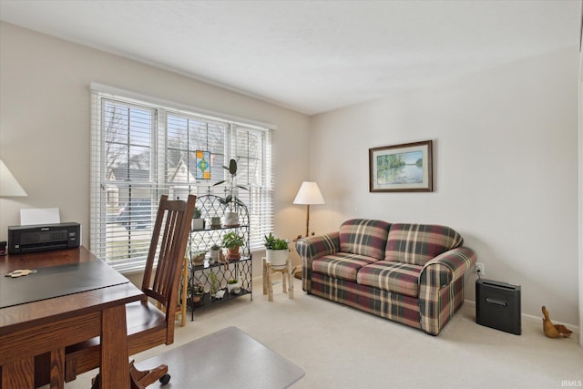 office space featuring carpet flooring and baseboards