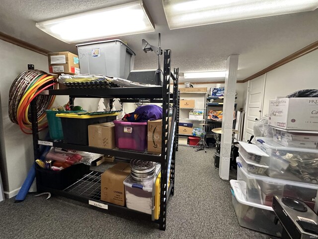 316 N Main St, Churubusco, IN 46723 - view of storage
