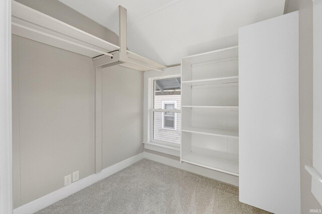 spacious closet featuring carpet floors