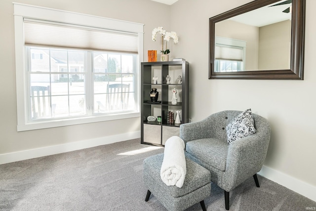 living area featuring baseboards and carpet floors