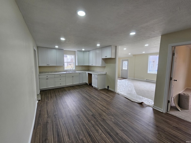 kitchen with a wealth of natural light, light countertops, a sink, and dark wood-type flooring