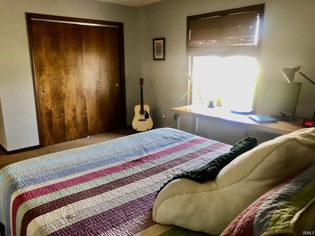 9420 Darmstadt Rd, Evansville, IN 47710 - bedroom with a closet and carpet