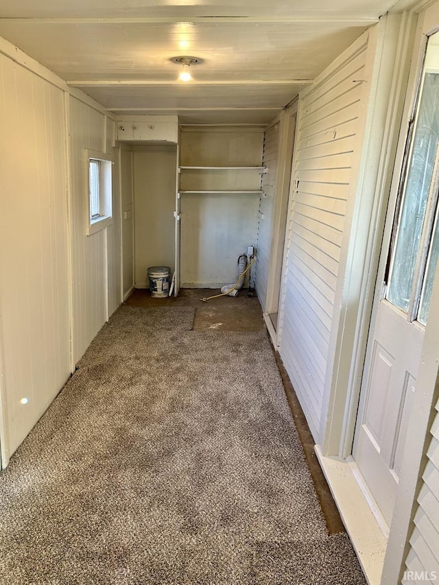 clothes washing area featuring wood walls and carpet