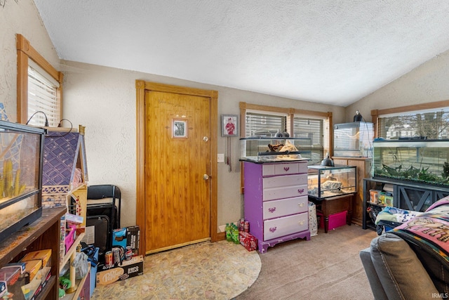 miscellaneous room featuring lofted ceiling, a textured ceiling, carpet flooring, and a textured wall