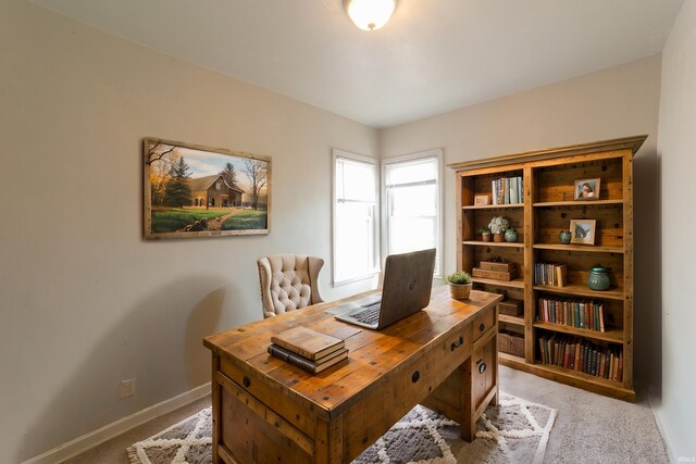 office featuring baseboards and carpet floors
