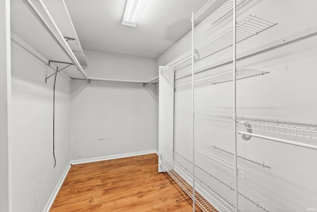 3323 Kiowa Ct, Fort Wayne, IN 46815 - spacious closet featuring wood finished floors