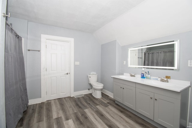 908 S Main St, Kendallville, IN 46755 - bathroom featuring vaulted ceiling, wood finished floors, toilet, and a sink