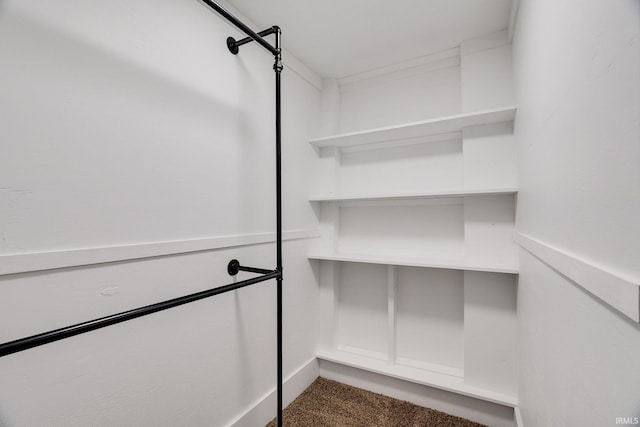 walk in closet with carpet flooring