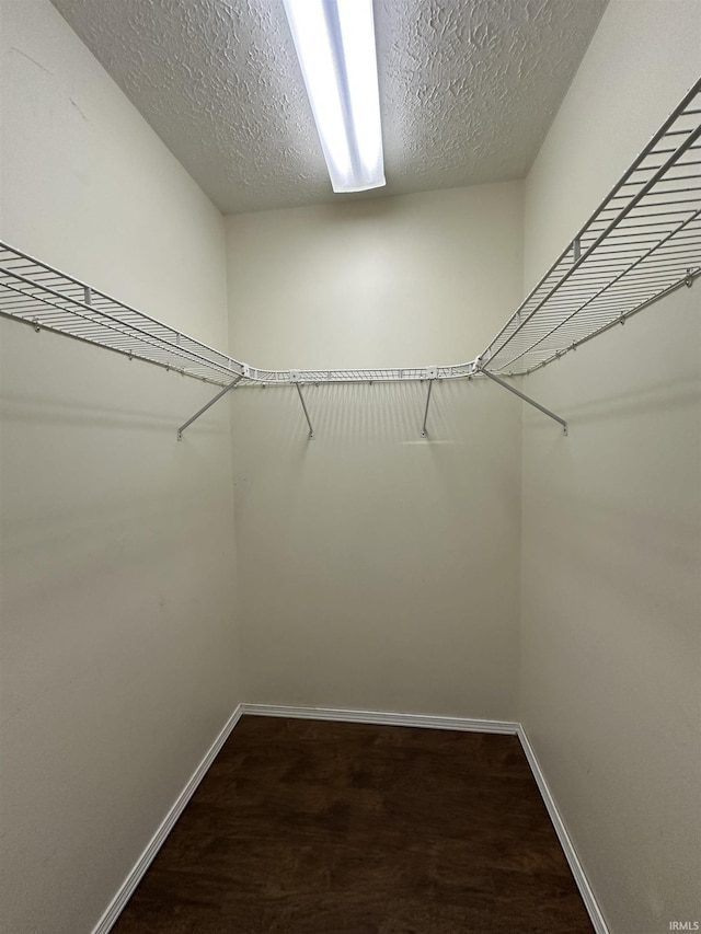 spacious closet featuring wood finished floors