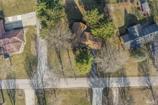 bird's eye view
