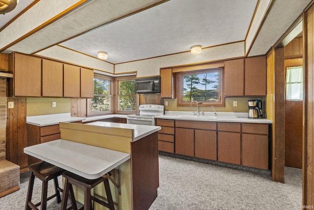 7990 S 150 E, Wolcottville, IN 46795 - kitchen with white electric stove, plenty of natural light, black microwave, and a sink