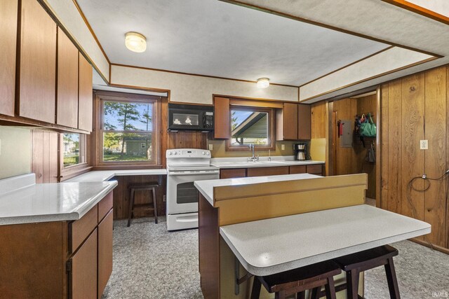 7990 S 150 E, Wolcottville, IN 46795 - kitchen featuring black microwave, white electric range oven, light carpet, and a healthy amount of sunlight