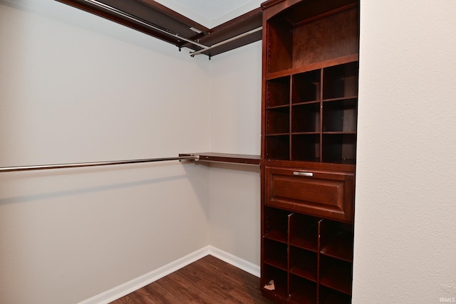3843 S Bushmill Dr, Bloomington, IN 47403 - walk in closet with dark wood-type flooring