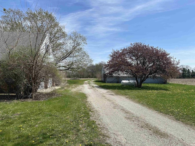 view of road with dirt driveway